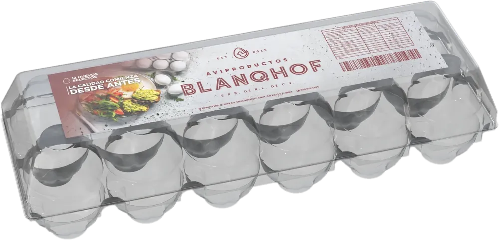Estuche Blanqhof de 12 huevos blancos